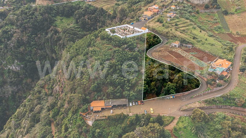 Terreno  Santana, São Jorge - 1453779 - 7
