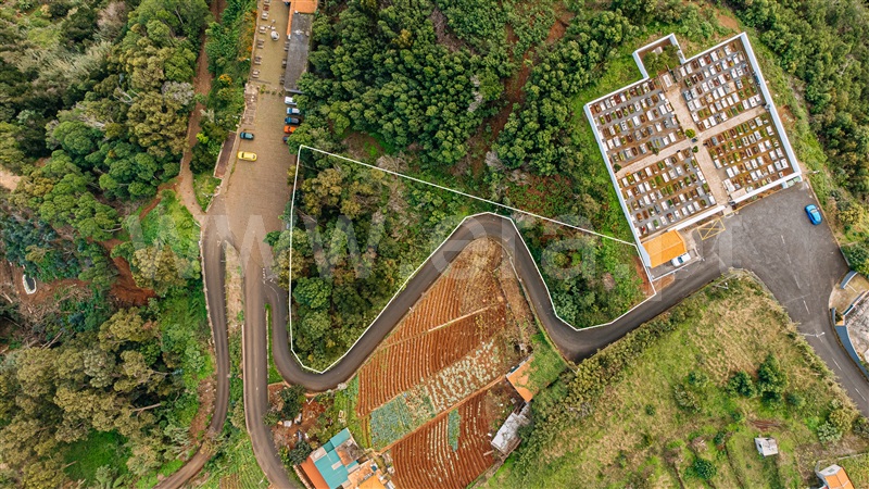 Terreno  Santana, São Jorge - 1453779 - 13