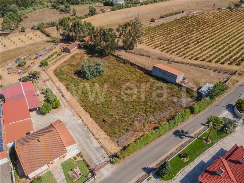 Terreno / Santarém, Alcanede