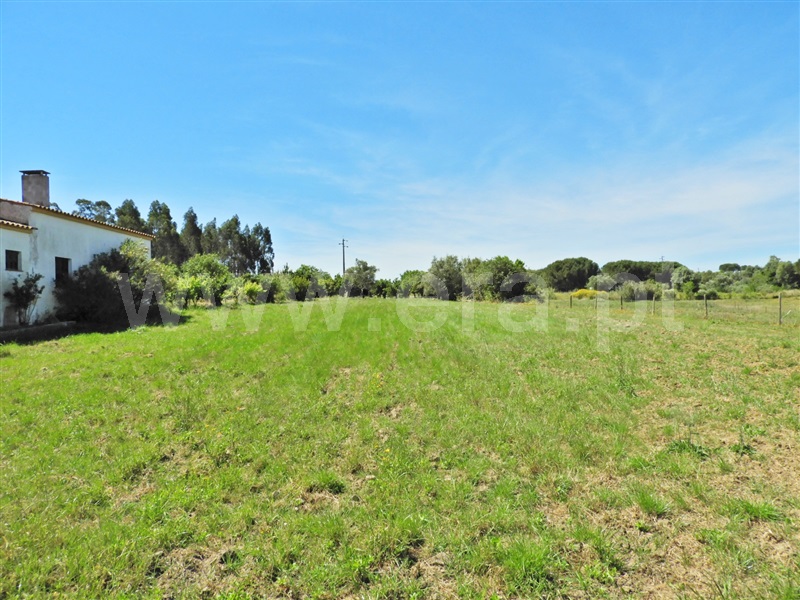 Terreno / Santarém, Almoster
