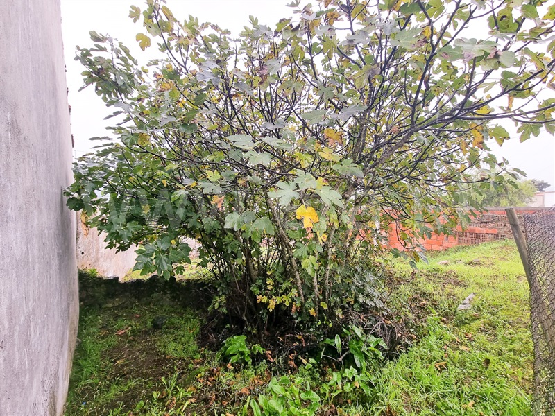 Terreno  Santarém, Arneiro das Milhariças - 1290569 - 1
