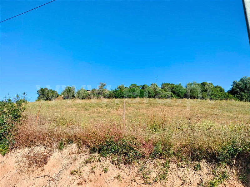 Terreno  Santarém, Azoia de Baixo - 1494753 - 3