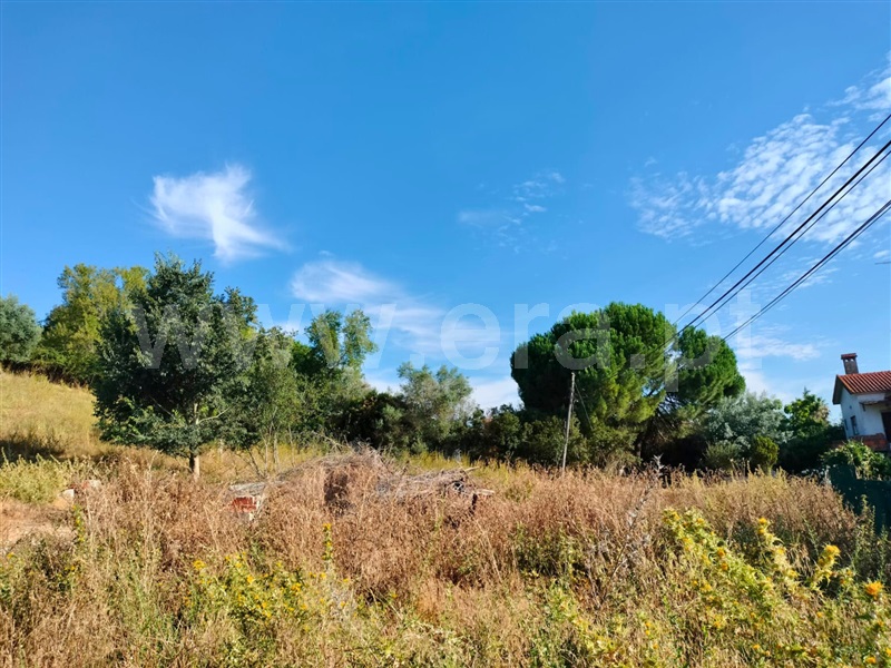 Terreno  Santarém, Azoia de Baixo - 1494753 - 7