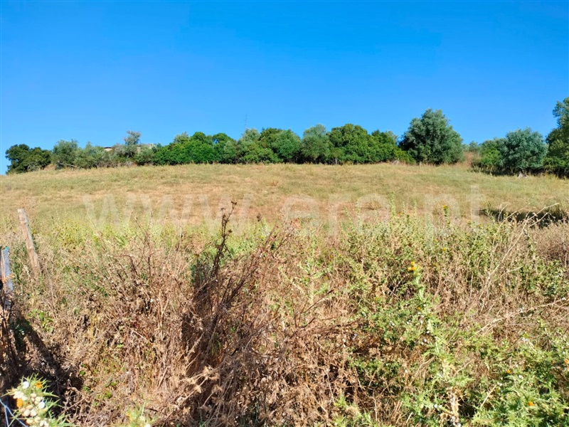 Terreno  Santarém, Azoia de Baixo - 1494753 - 10