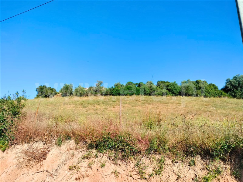 Terreno  Santarém, Azoia de Baixo - 1494756 - 4