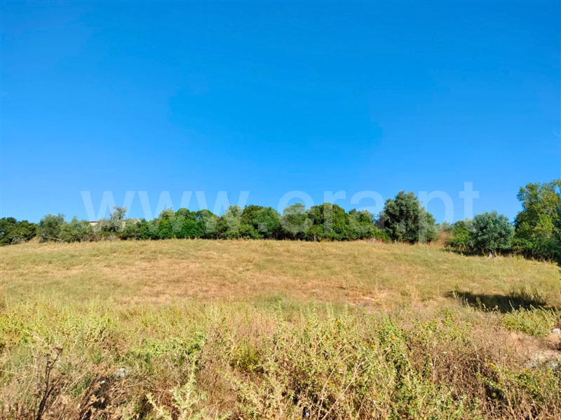 Terreno  Santarém, Azoia de Baixo - 1494756 - 7
