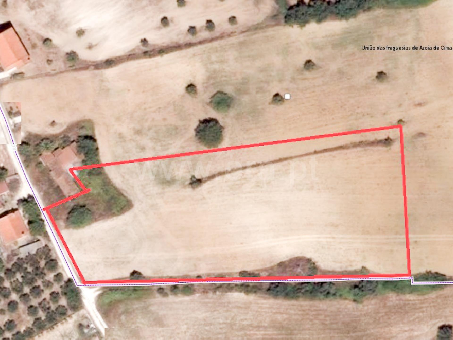 Land for sale in Santarém, Portugal — €65,000