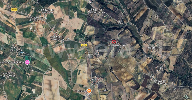 Terreno / Santarém, D. Fernando