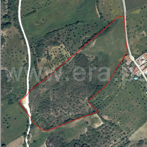 Terreno  Santarém, Fonte da Pedra - 1465030 - 3