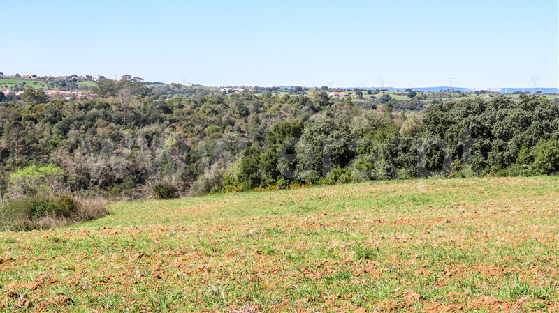 Terreno  Santarém, Fonte da Pedra - 1465030 - 5
