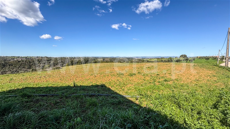 Terreno  Santarém, Fonte da Pedra - 1465030 - 9