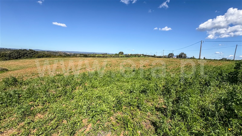 Terreno  Santarém, Fonte da Pedra - 1465030 - 11