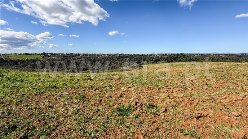 Terreno  Santarém, Fonte da Pedra - 1465030 - 12