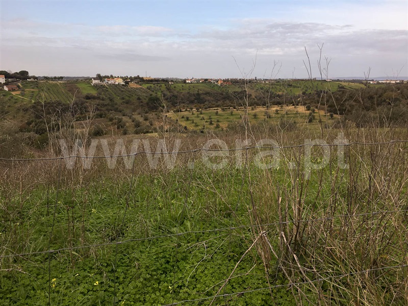 Terreno  Santarém, Baixinho - 1067743 - 1