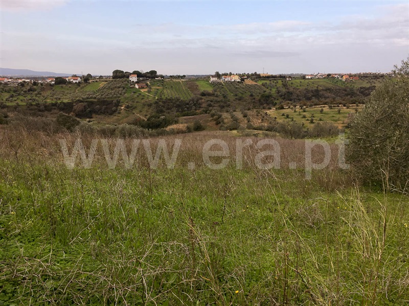 Terreno  Santarém, Baixinho - 1067743 - 2