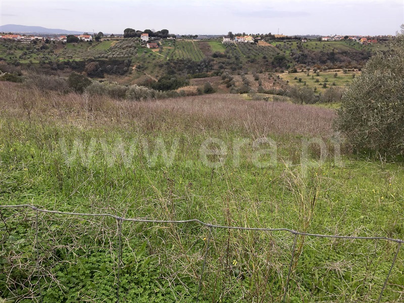 Terreno  Santarém, Baixinho - 1067743 - 4