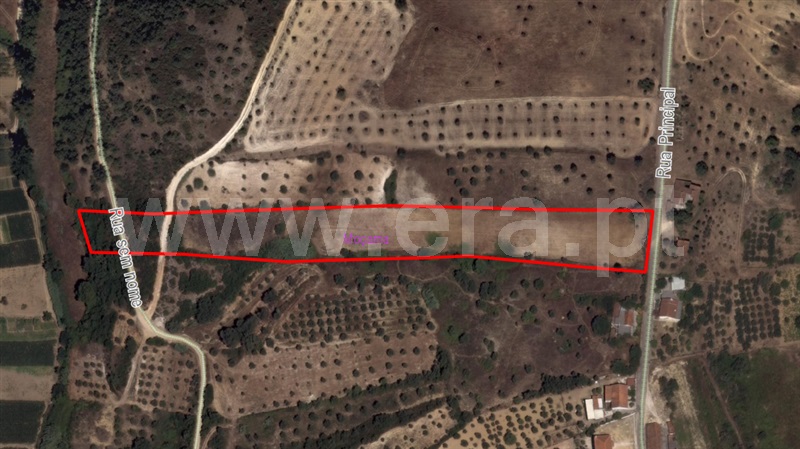 Terreno  Santarém, Baixinho - 1067743 - 8