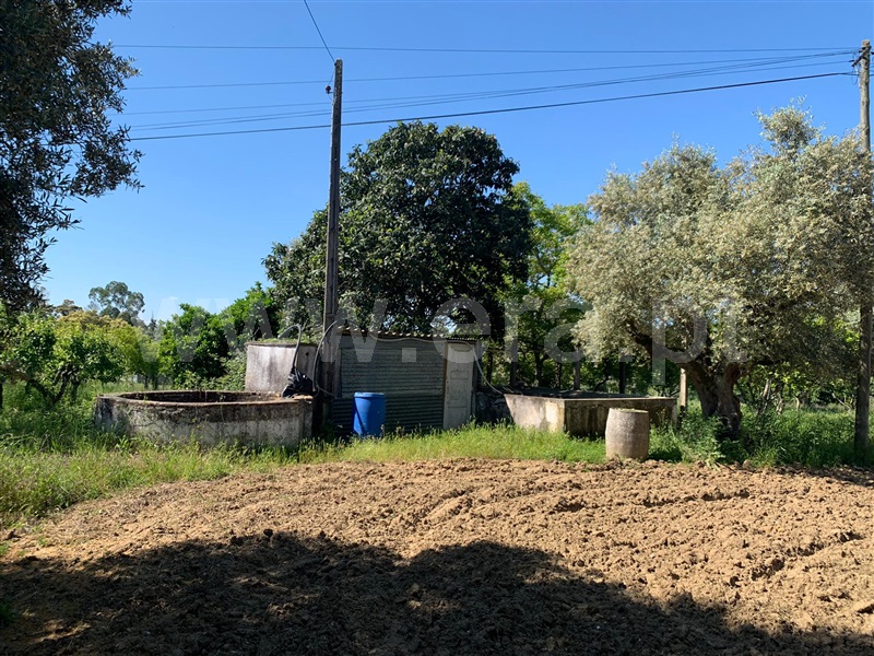Terreno / Santarém, Vale de Figueira