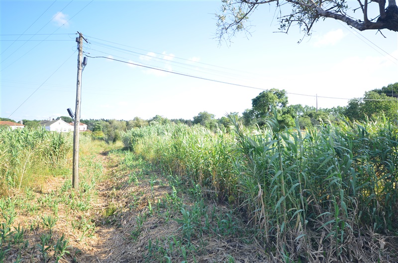 Terreno  Santarém, Vale de Santarém - 1409417 - 4