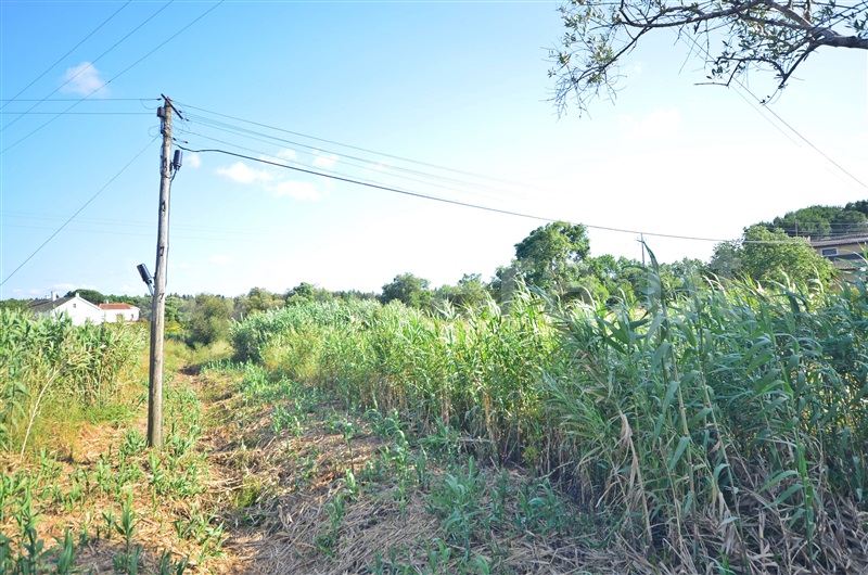 Terreno  Santarém, Vale de Santarém - 1409417 - 5