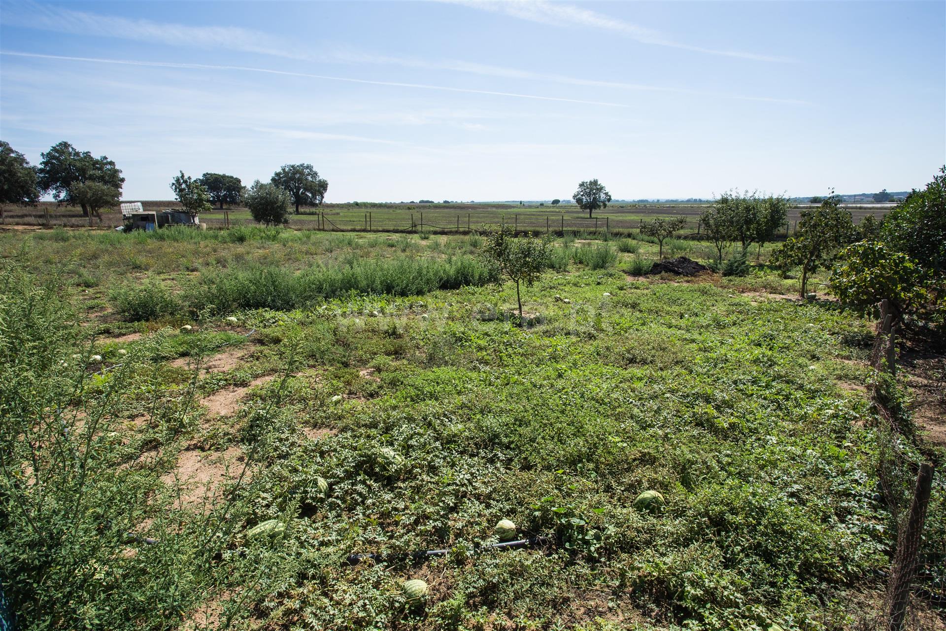 Land for sale in Santiago do Cacém, Portugal — €120,000