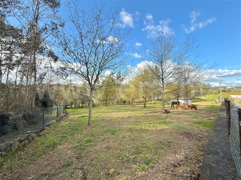 Terreno / Santo Tirso, Areias, Sequeiró, Lama e Palmeira