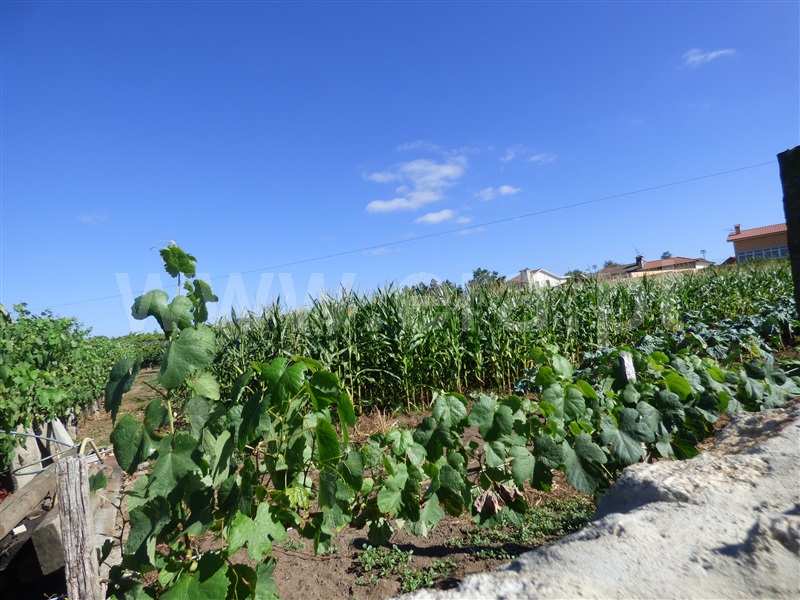 Terreno  Santo Tirso, Areias - 836711 - 2