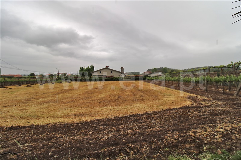 Terreno  Santo Tirso, Areias - 836711 - 6