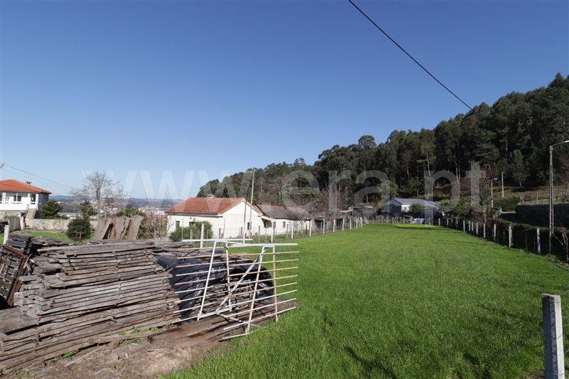 Terreno  Santo Tirso, Campo (São Martinho), São Salvador do Campo e Negrelos (São Mamede) - 1459382 - 1