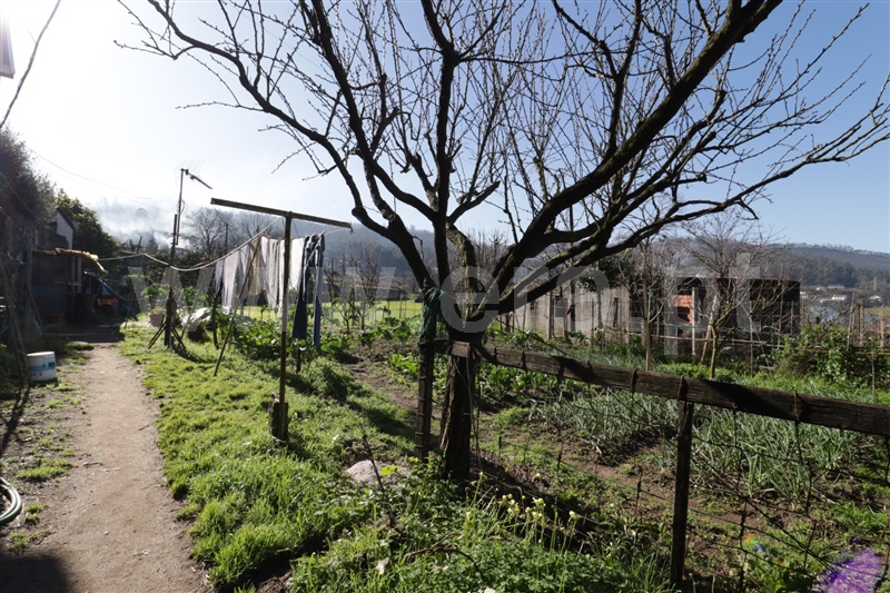 Terreno  Santo Tirso, Campo (São Martinho), São Salvador do Campo e Negrelos (São Mamede) - 1459382 - 4
