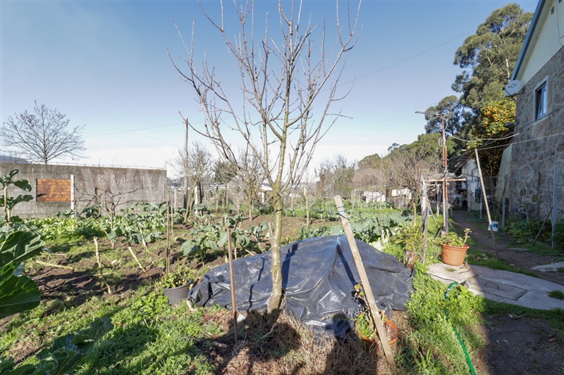 Terreno  Santo Tirso, Campo (São Martinho), São Salvador do Campo e Negrelos (São Mamede) - 1459382 - 7