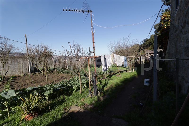 Terreno  Santo Tirso, Campo (São Martinho), São Salvador do Campo e Negrelos (São Mamede) - 1459382 - 9