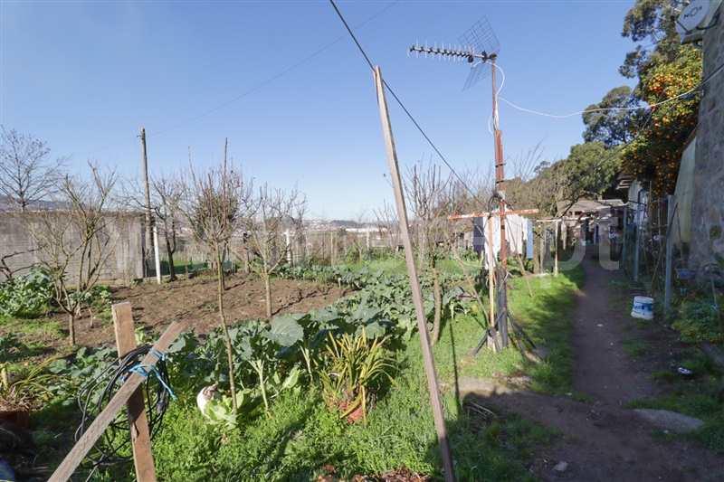 Terreno  Santo Tirso, Campo (São Martinho), São Salvador do Campo e Negrelos (São Mamede) - 1459382 - 10