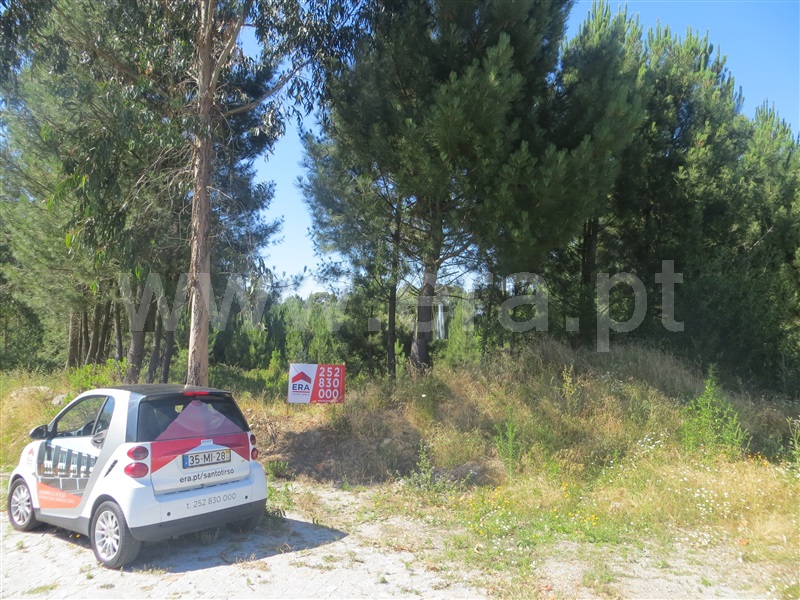 Terreno / Santo Tirso, Carreira