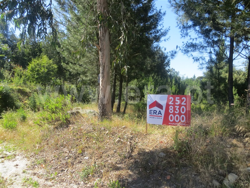 Terreno  Santo Tirso, Carreira - 1016228 - 2