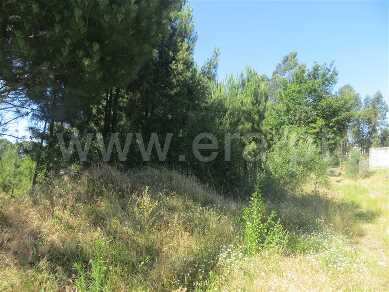Terreno  Santo Tirso, Carreira - 1016228 - 3