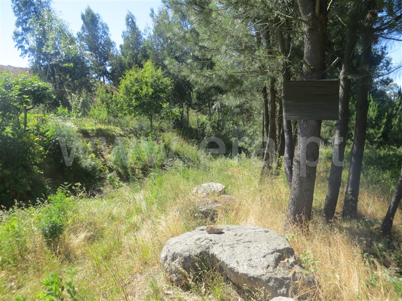 Terreno  Santo Tirso, Carreira - 1016228 - 5