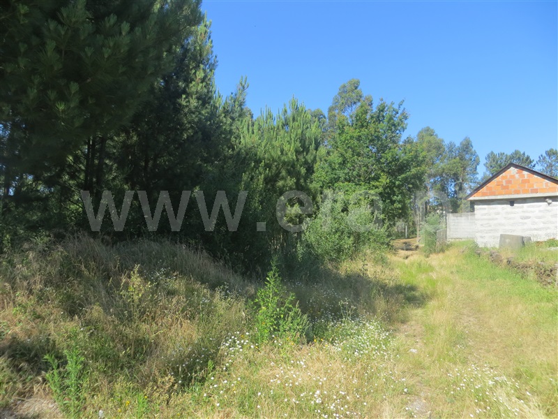 Terreno  Santo Tirso, Carreira - 1016228 - 6