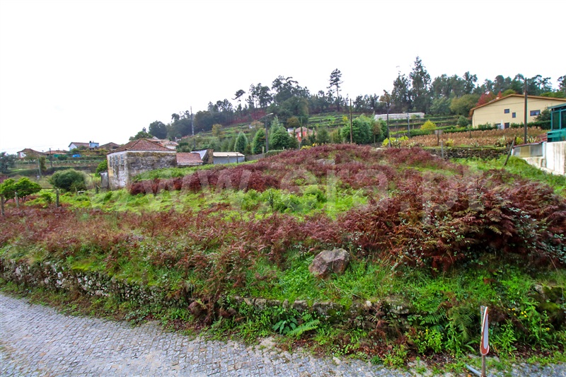 Terreno  Santo Tirso, Guimarei - 1287829 - 2
