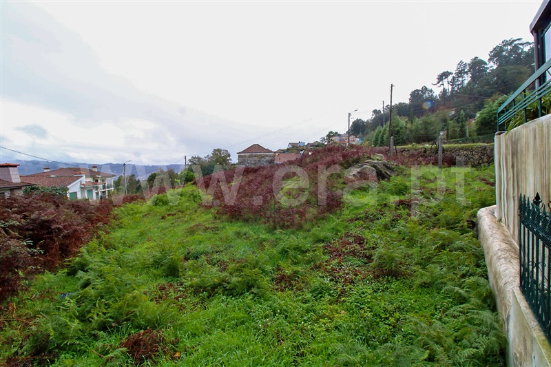Terreno  Santo Tirso, Guimarei - 1287829 - 3