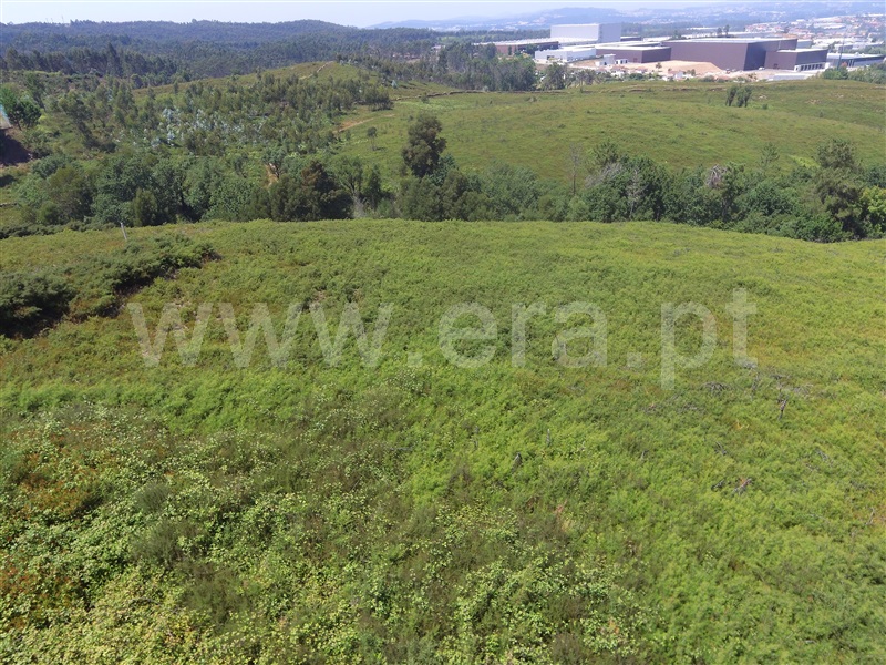 Terreno  Santo Tirso, Guimarei - 1328398 - 3