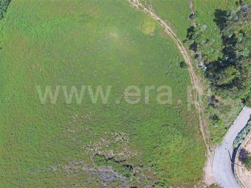 Terreno  Santo Tirso, Guimarei - 1328398 - 5