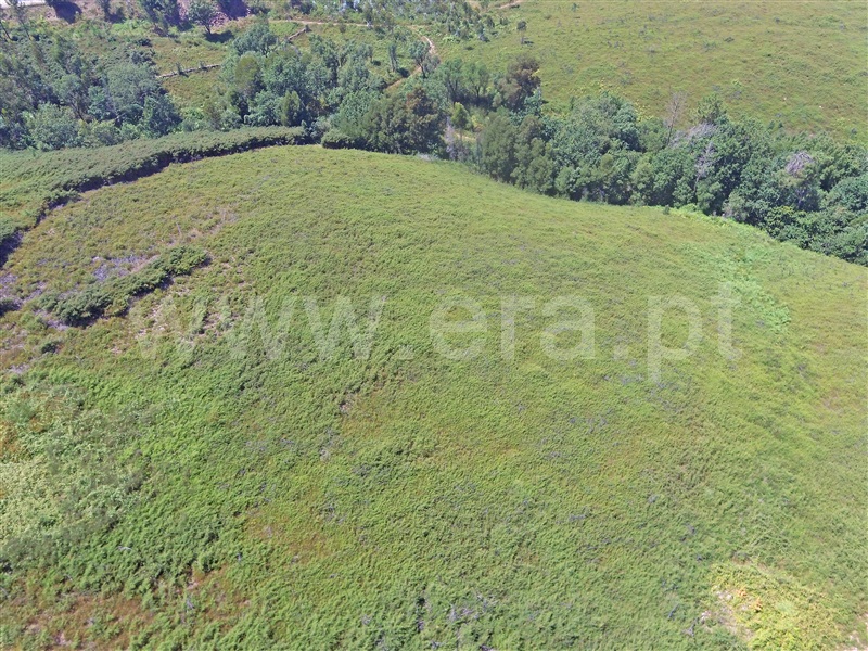 Terreno  Santo Tirso, Guimarei - 1328398 - 7