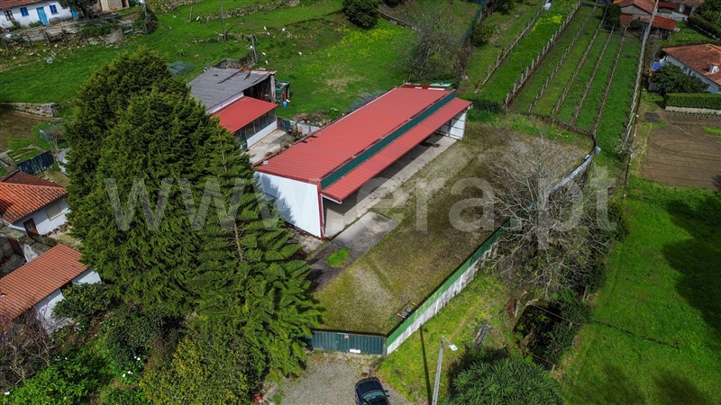 Terreno / Santo Tirso, Guimarei