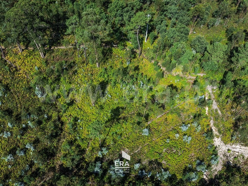 Terreno / Santo Tirso, Guimarei