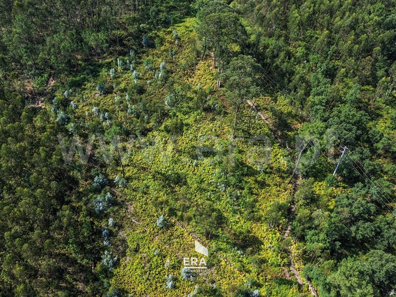 Terreno  Santo Tirso, Lamelas e Guimarei - 1504564 - 3