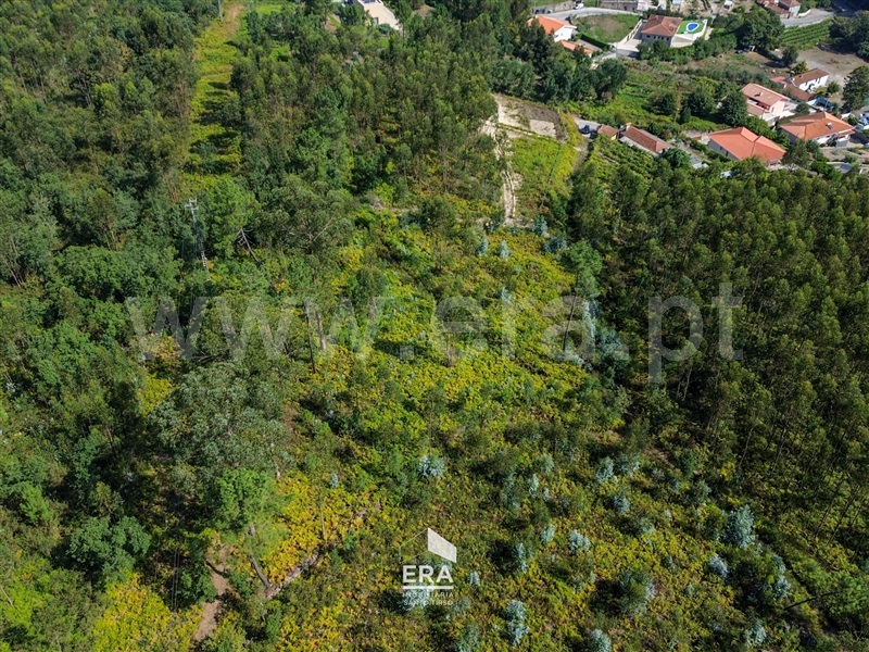Terreno  Santo Tirso, Lamelas e Guimarei - 1504564 - 4