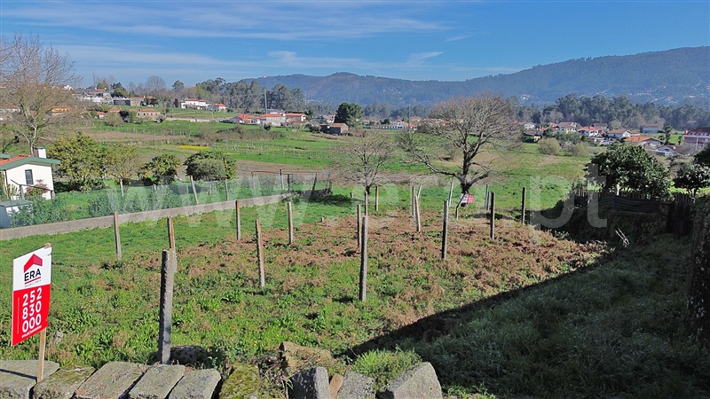 Terreno / Santo Tirso, Lamelas