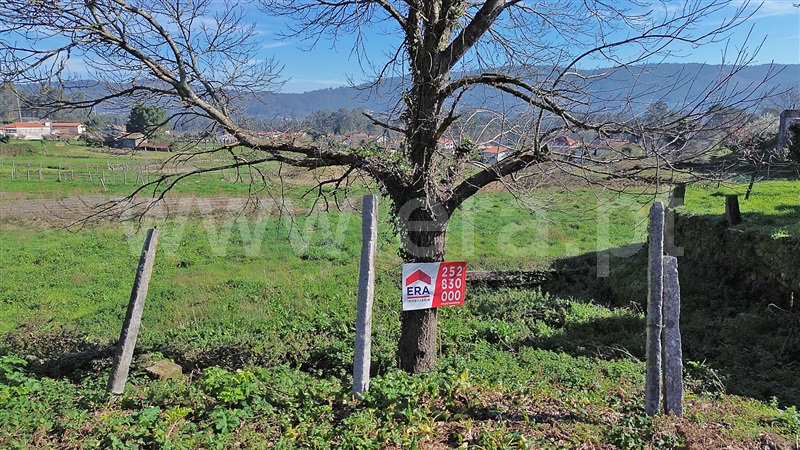 Terreno / Santo Tirso, Lamelas