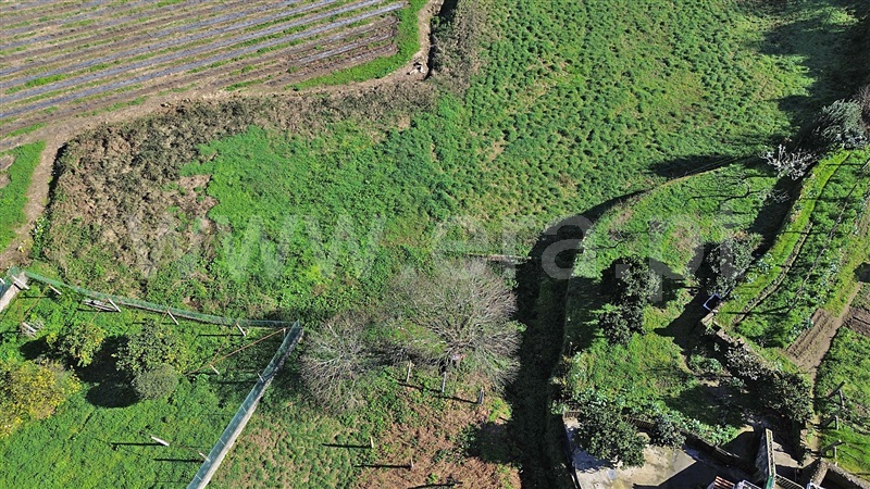 Terreno  Santo Tirso, Lamelas e Guimarei - 1386834 - 3